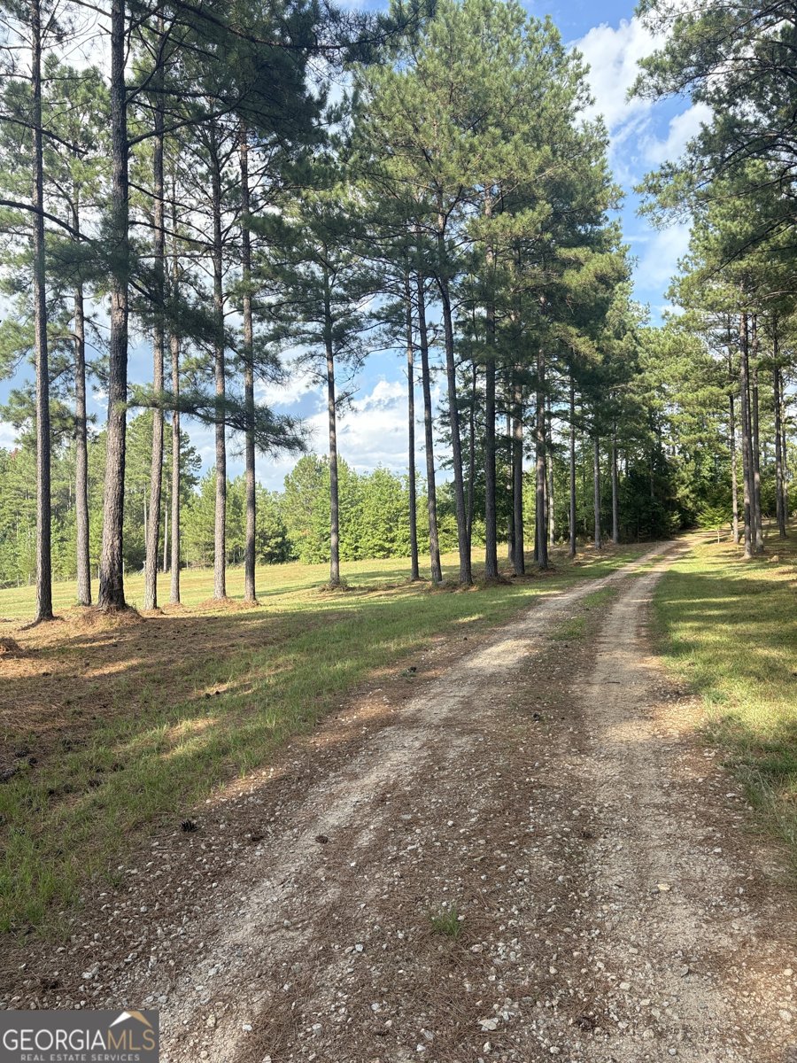 395 New Cut Road Edgefield - 62