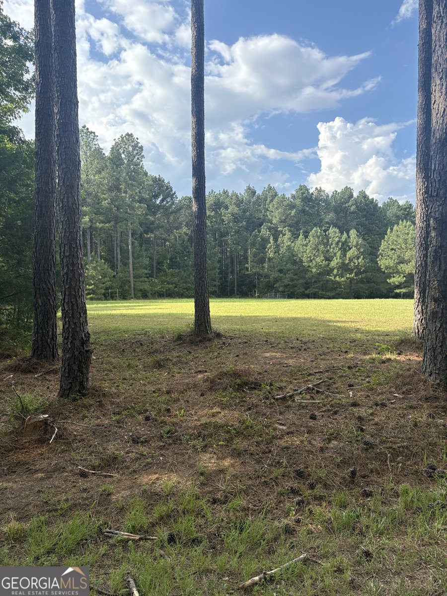 395 New Cut Road Edgefield - 63