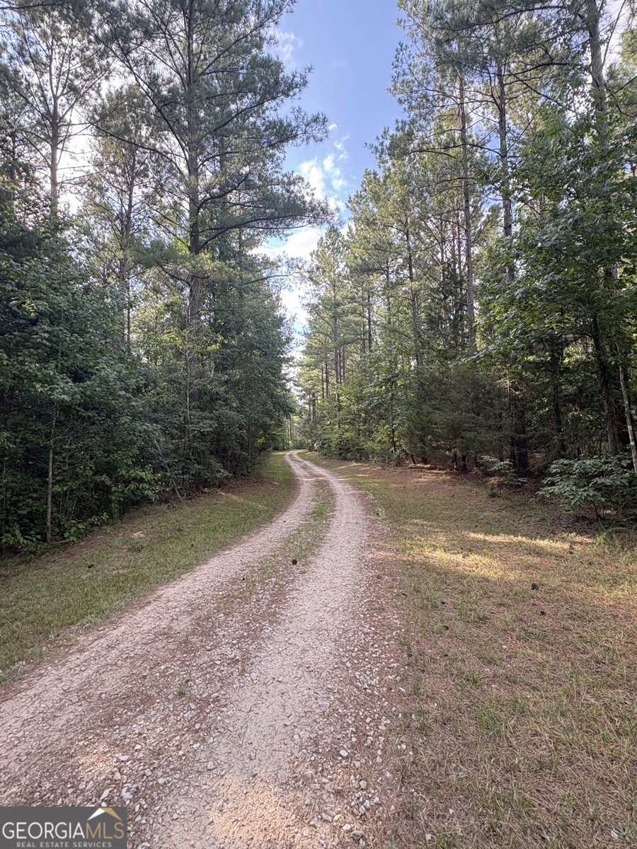 395 New Cut Road Edgefield - 64