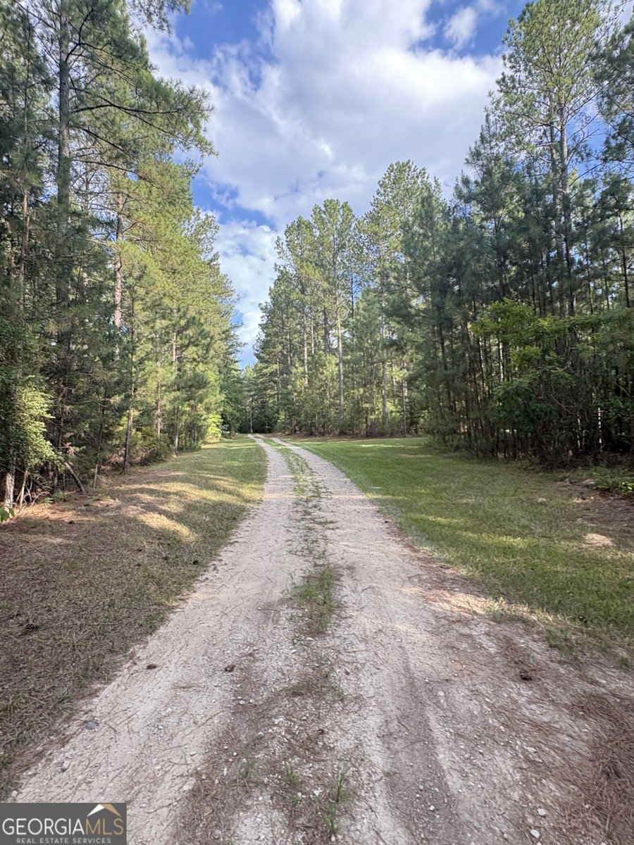 395 New Cut Road Edgefield - 65