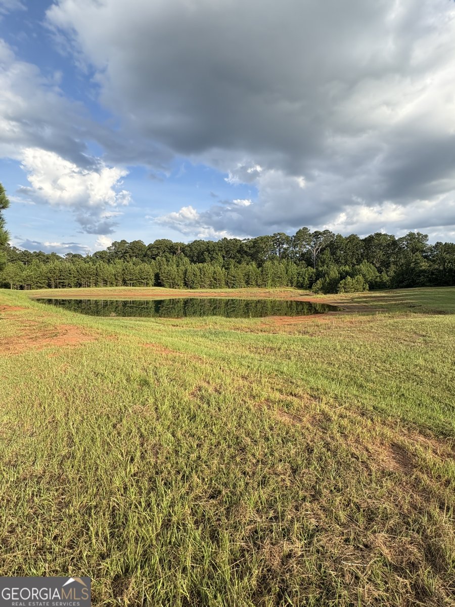 395 New Cut Road Edgefield - 68