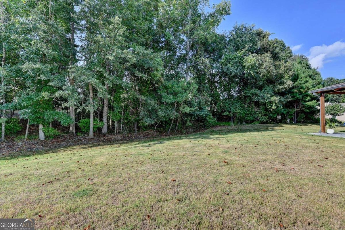 646 Baker View Lane Braselton - 20
