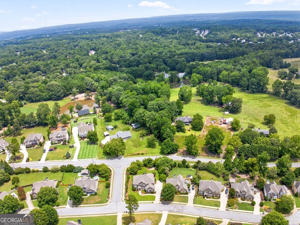 4328 Sandy Branch Drive Buford - 70