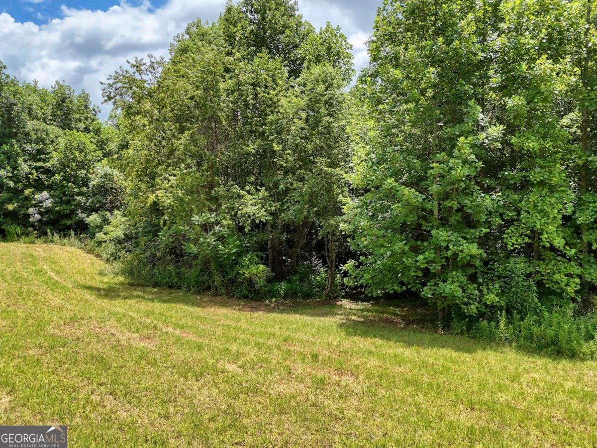 89 Simmons Ridge Mineral Bluff - 43