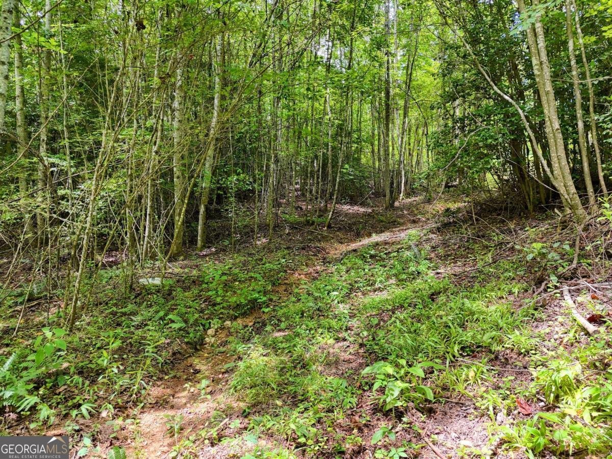 89 Simmons Ridge Mineral Bluff - 44