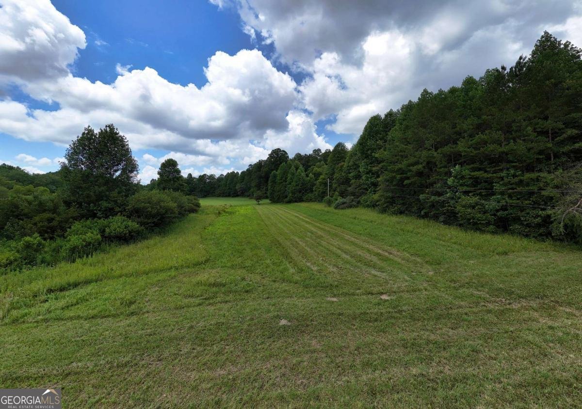 89 Simmons Ridge Mineral Bluff - 45