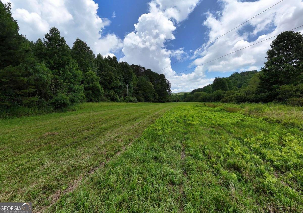 89 Simmons Ridge Mineral Bluff - 46