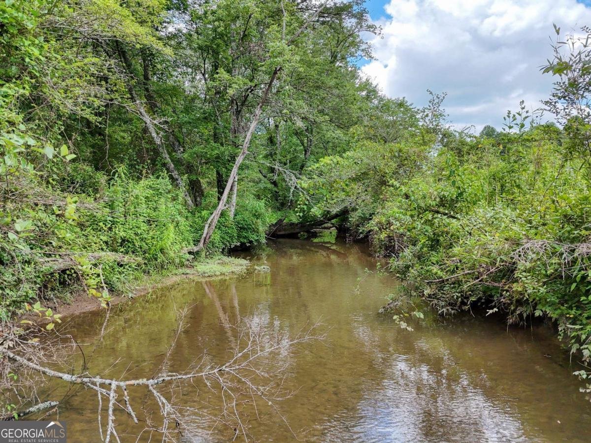 89 Simmons Ridge Mineral Bluff - 47