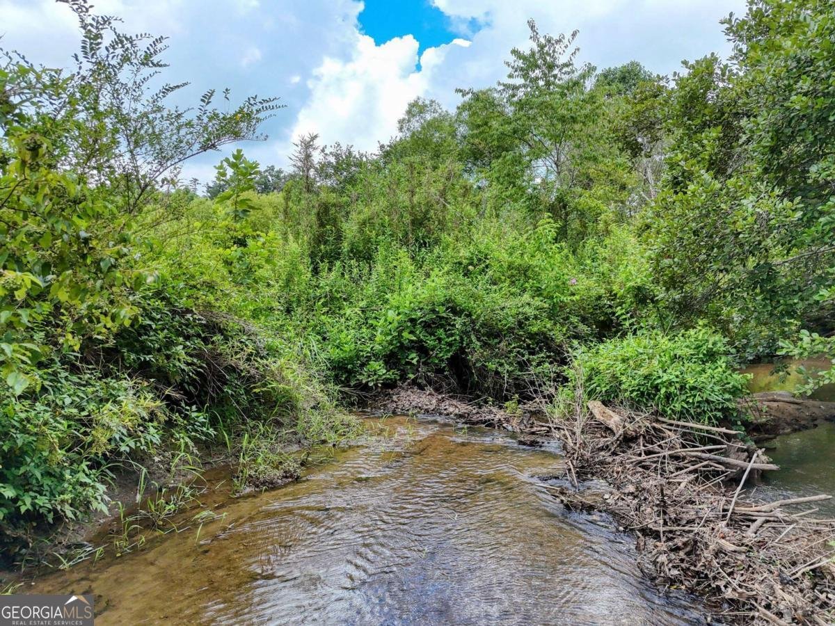 89 Simmons Ridge Mineral Bluff - 48