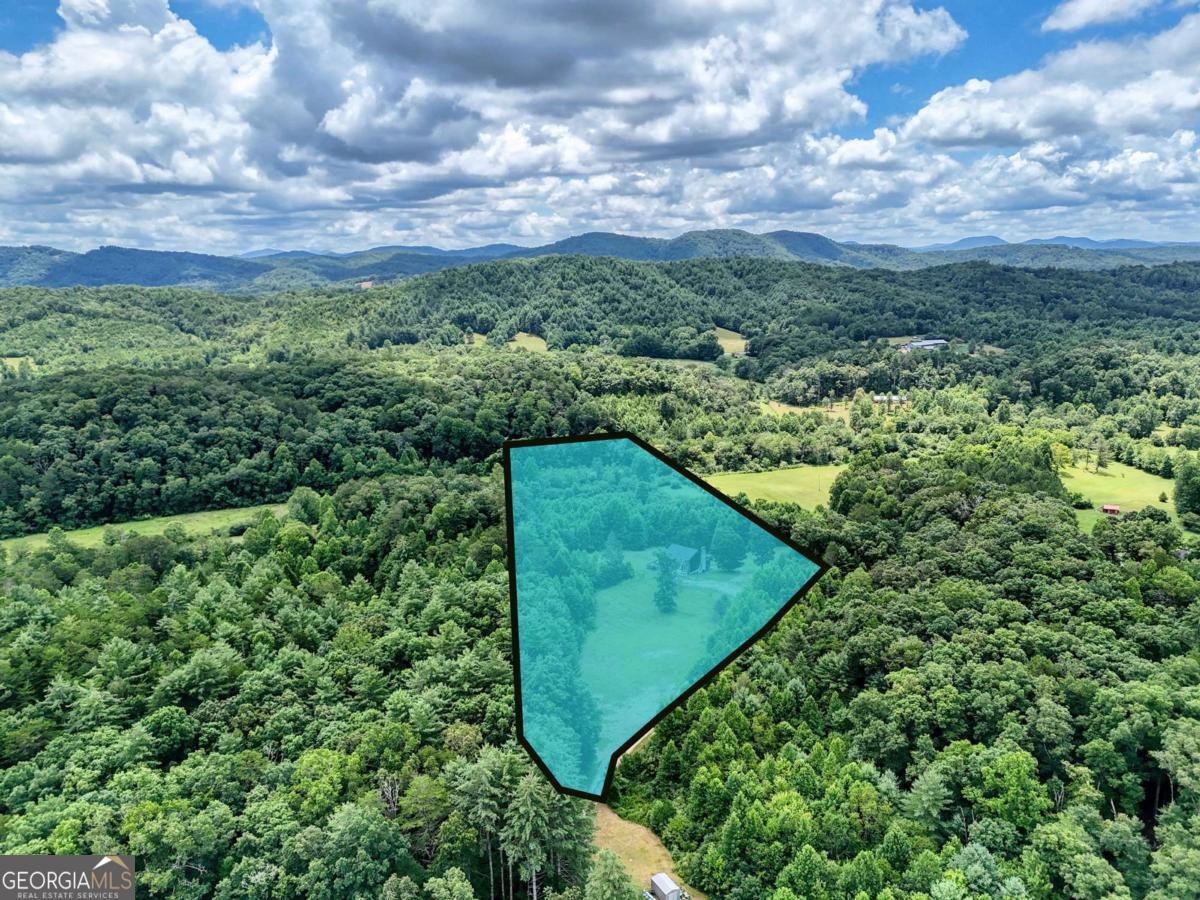 89 Simmons Ridge Mineral Bluff - 49