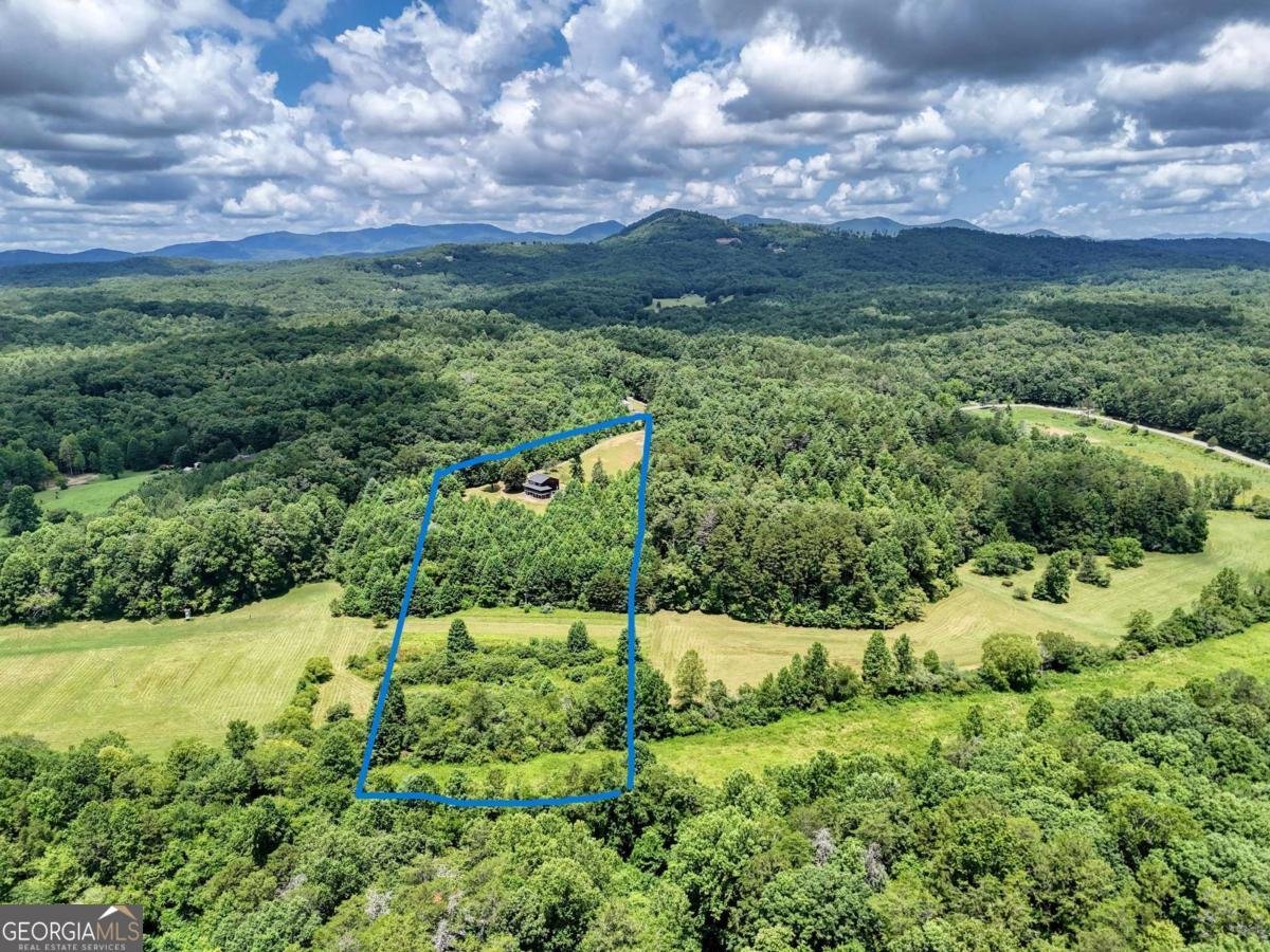 89 Simmons Ridge Mineral Bluff - 50