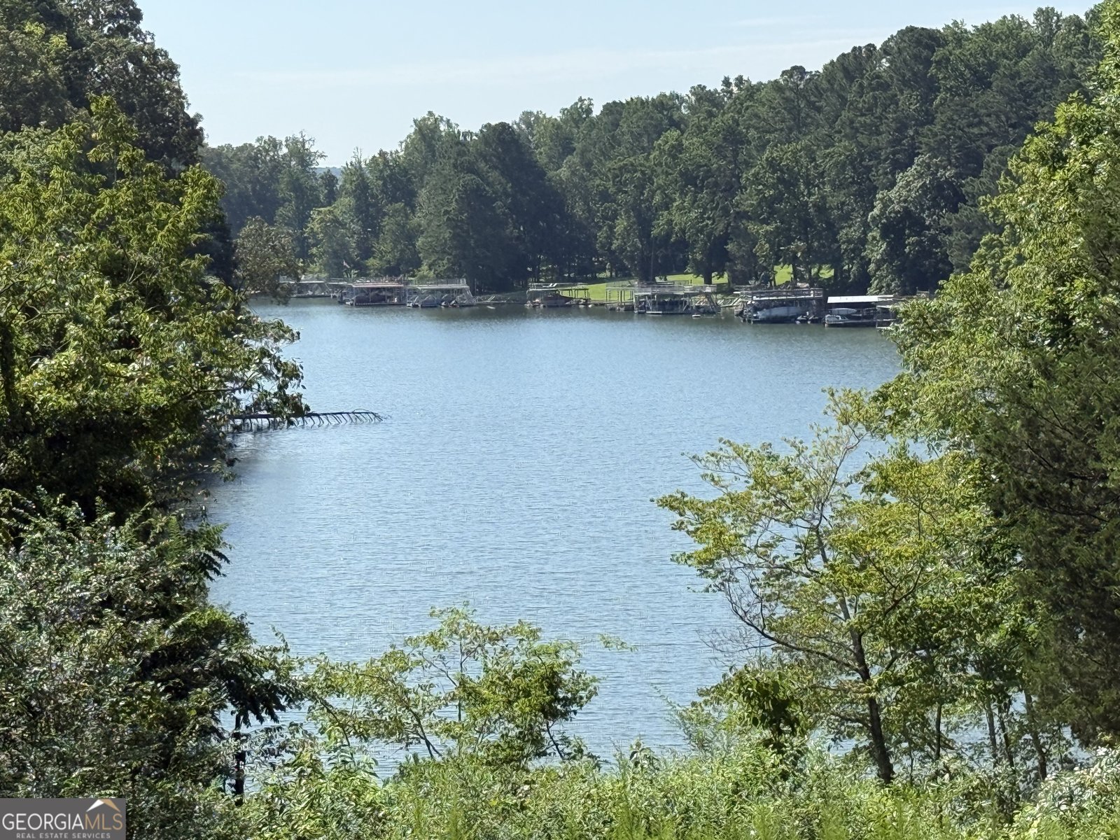 68 Lakeland Drive Dawsonville - 62