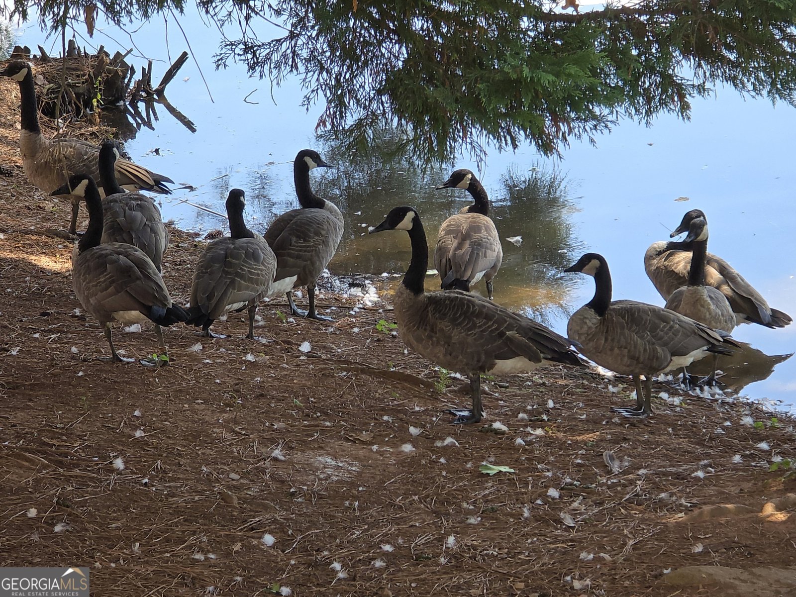 532 Autumn Shore Drive Lawrenceville - Photo 62