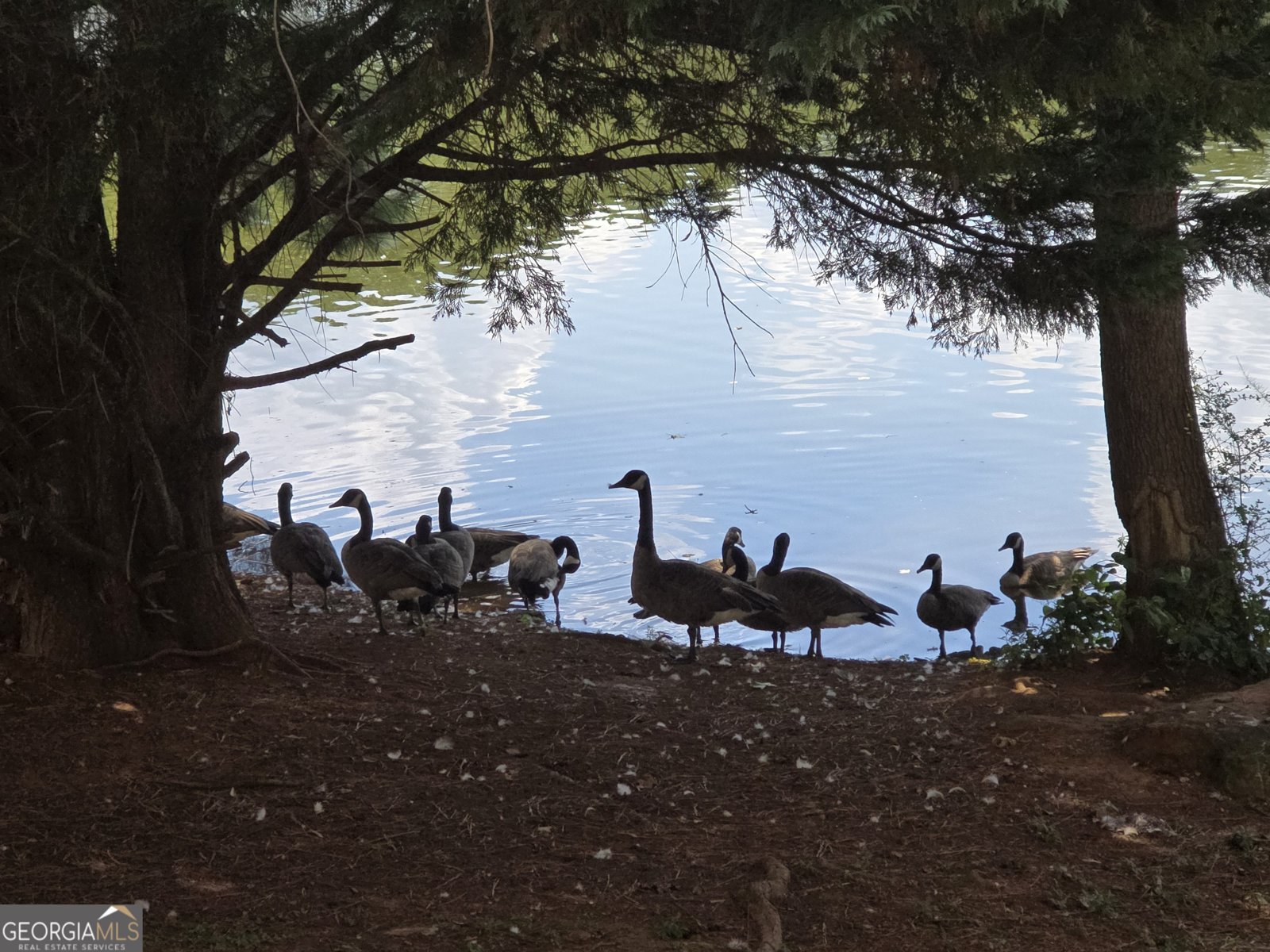 532 Autumn Shore Drive Lawrenceville - Photo 63