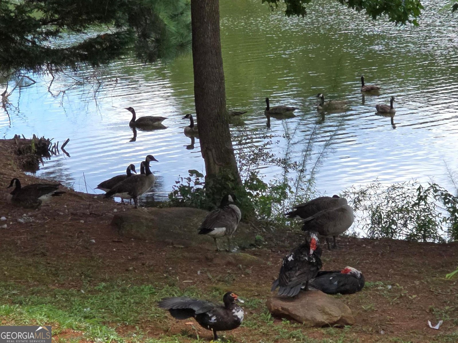 532 Autumn Shore Drive Lawrenceville - Photo 64