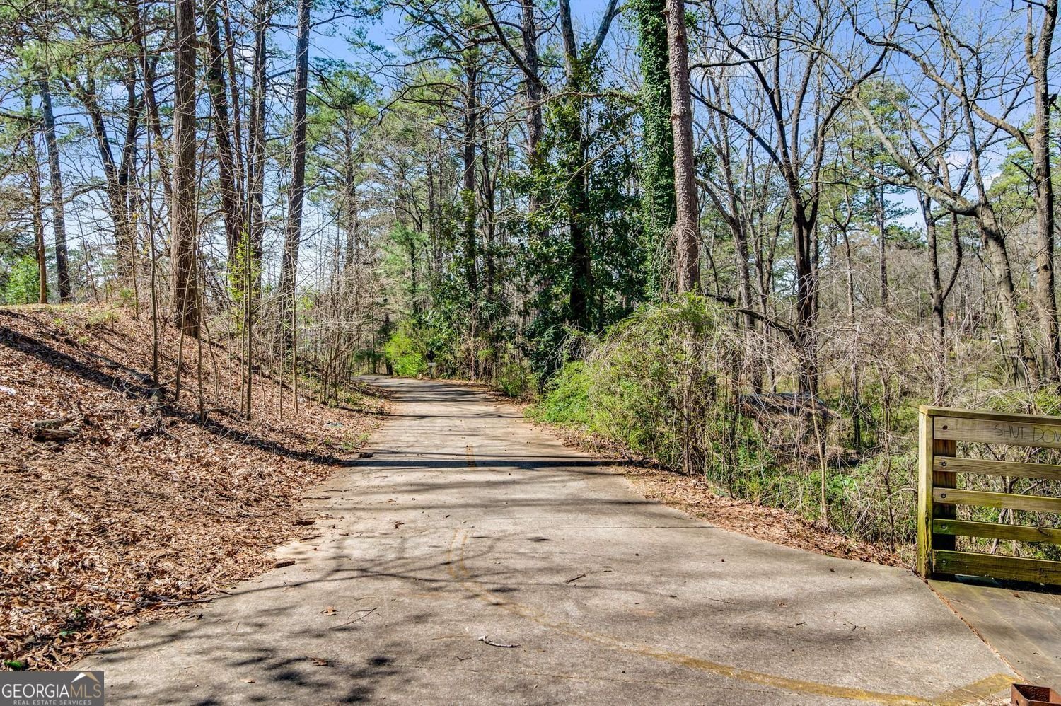 2043 Thomasville Drive Atlanta - 36