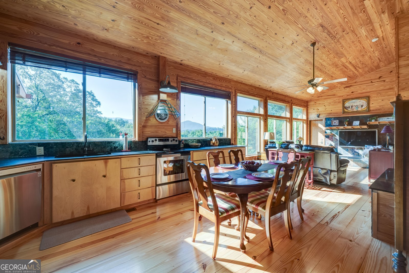 325 Weoka Court Ellijay - 10