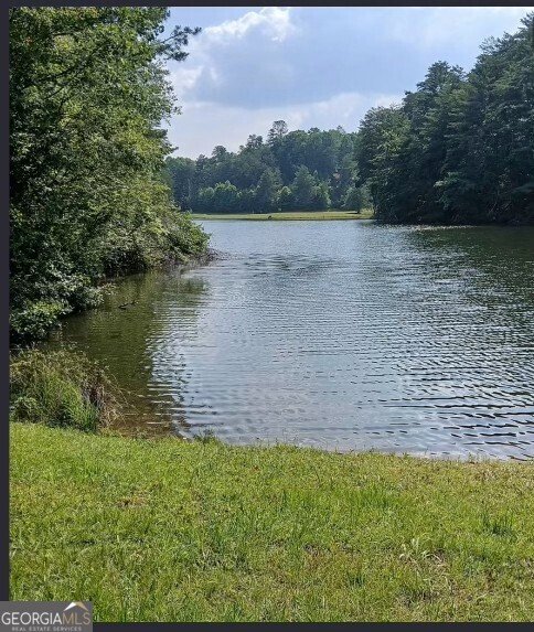 325 Weoka Court Ellijay - 3