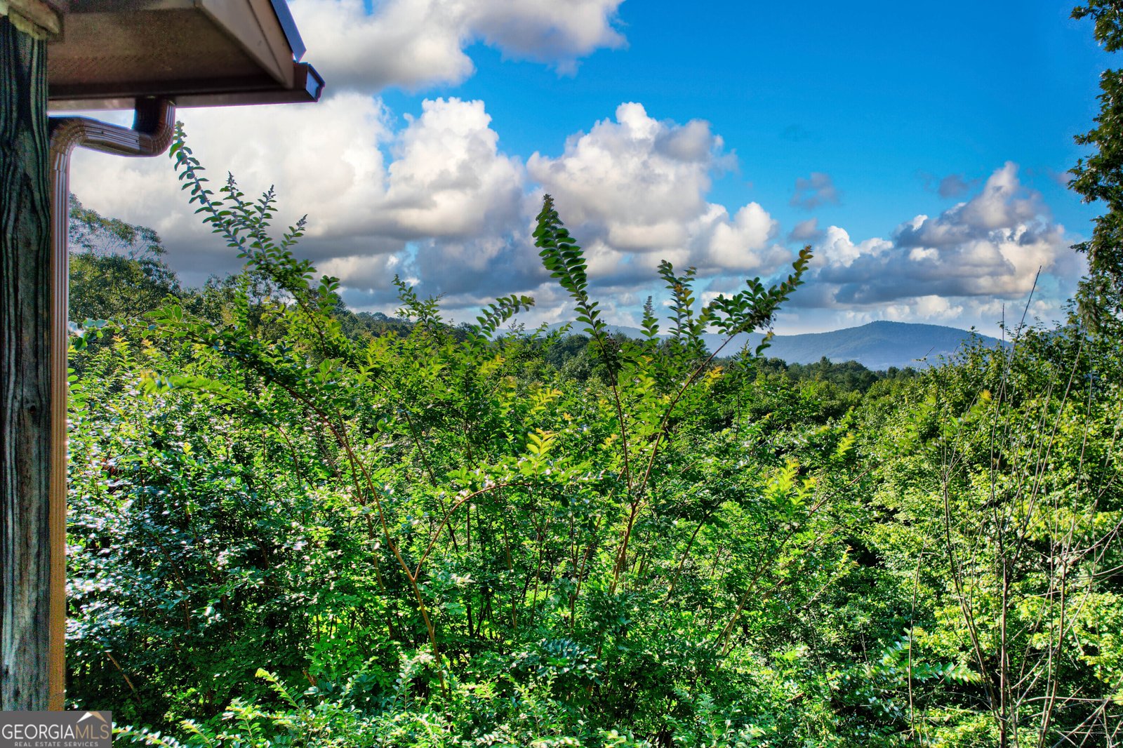 325 Weoka Court Ellijay - 4