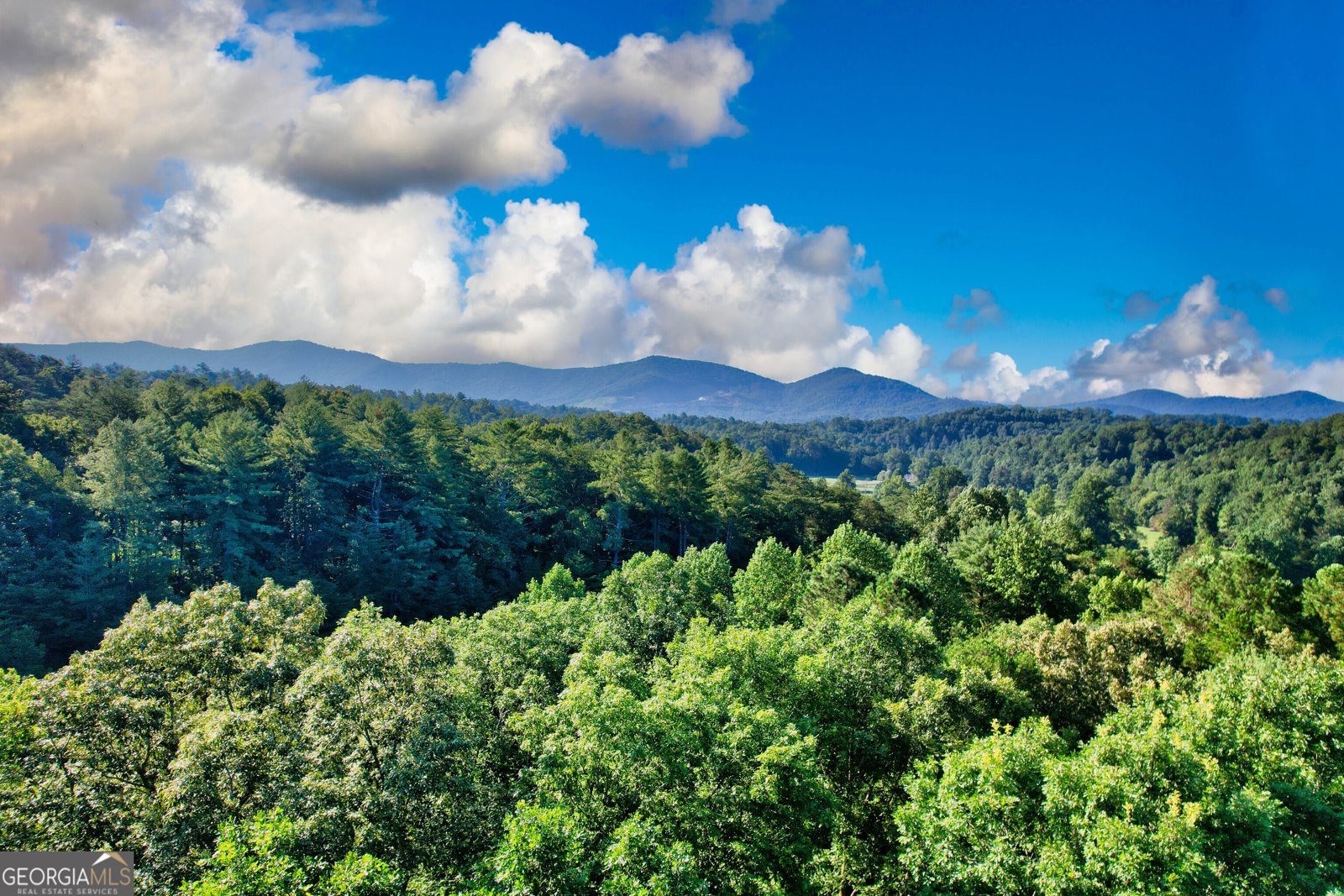 325 Weoka Court Ellijay - 8