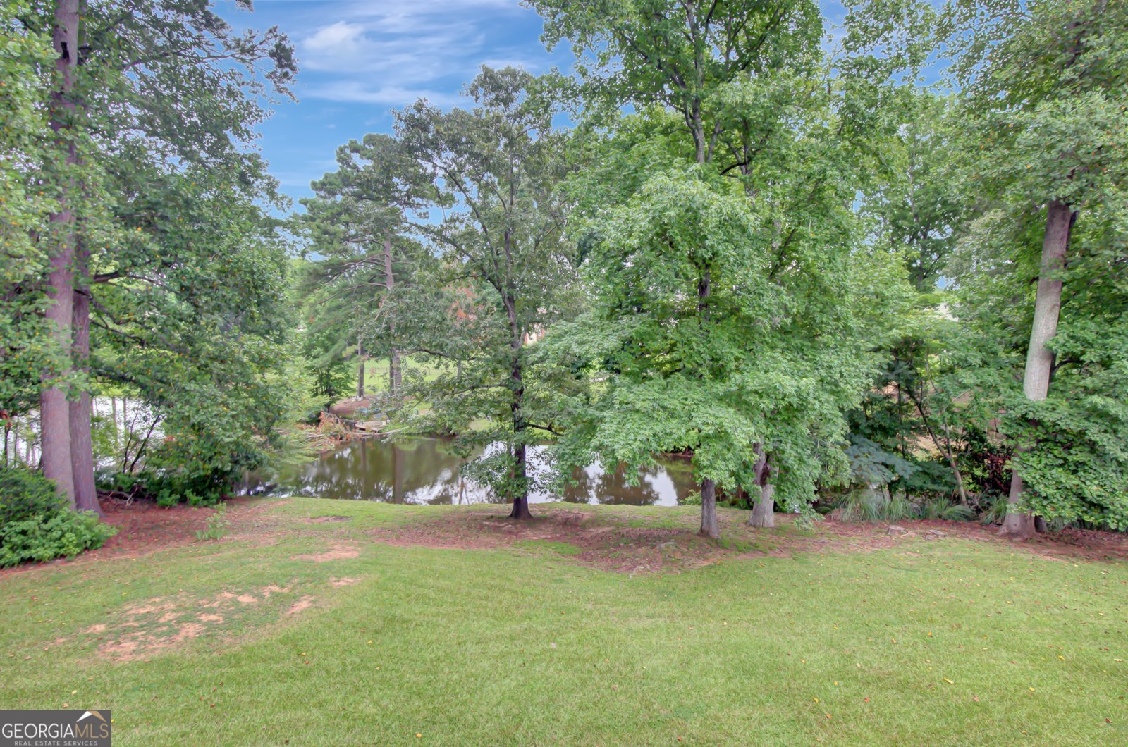 125 South Fork Road Tyrone - 55