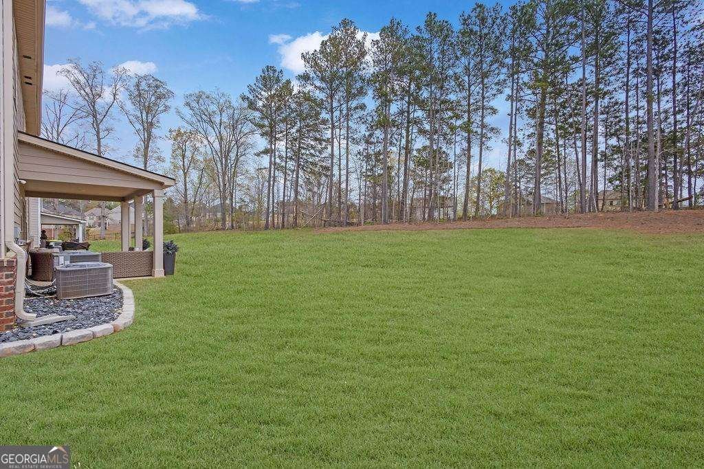 8033 Louis Drive Locust Grove - 31