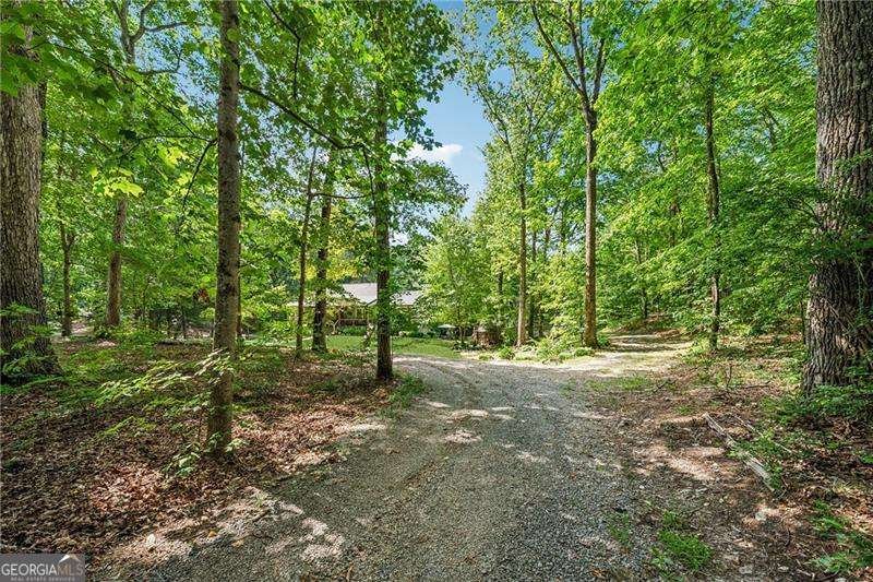315 Rhine Road White - 47