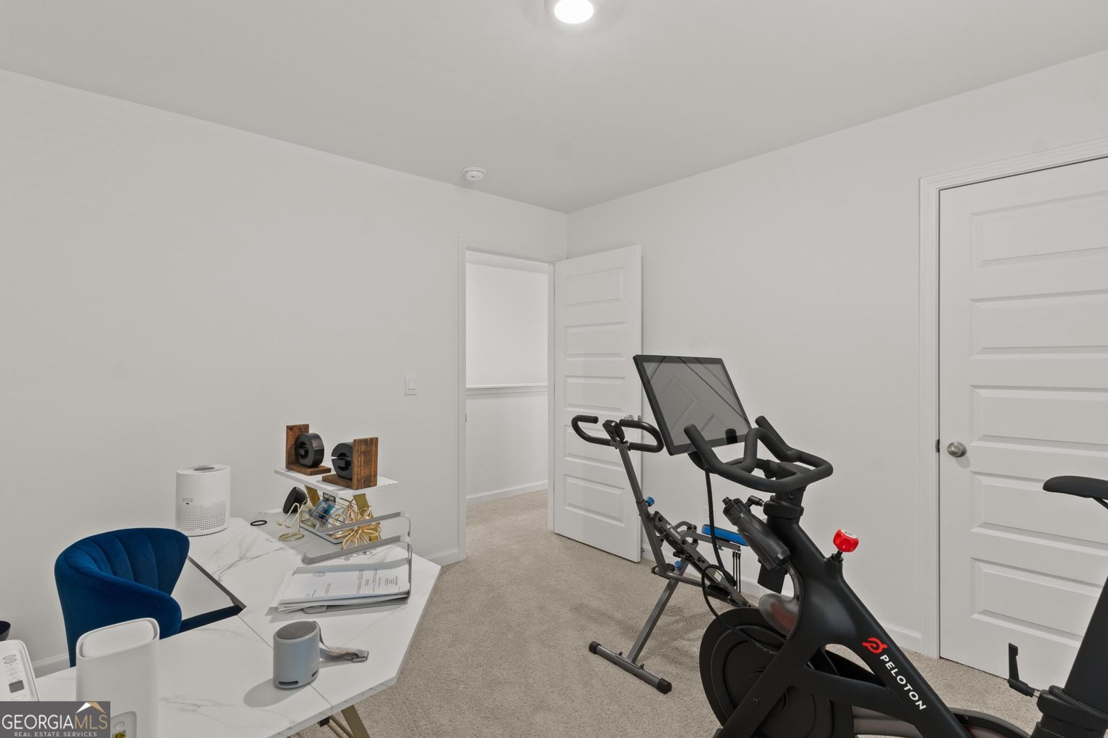 313 Arnica Drive Locust Grove - 22