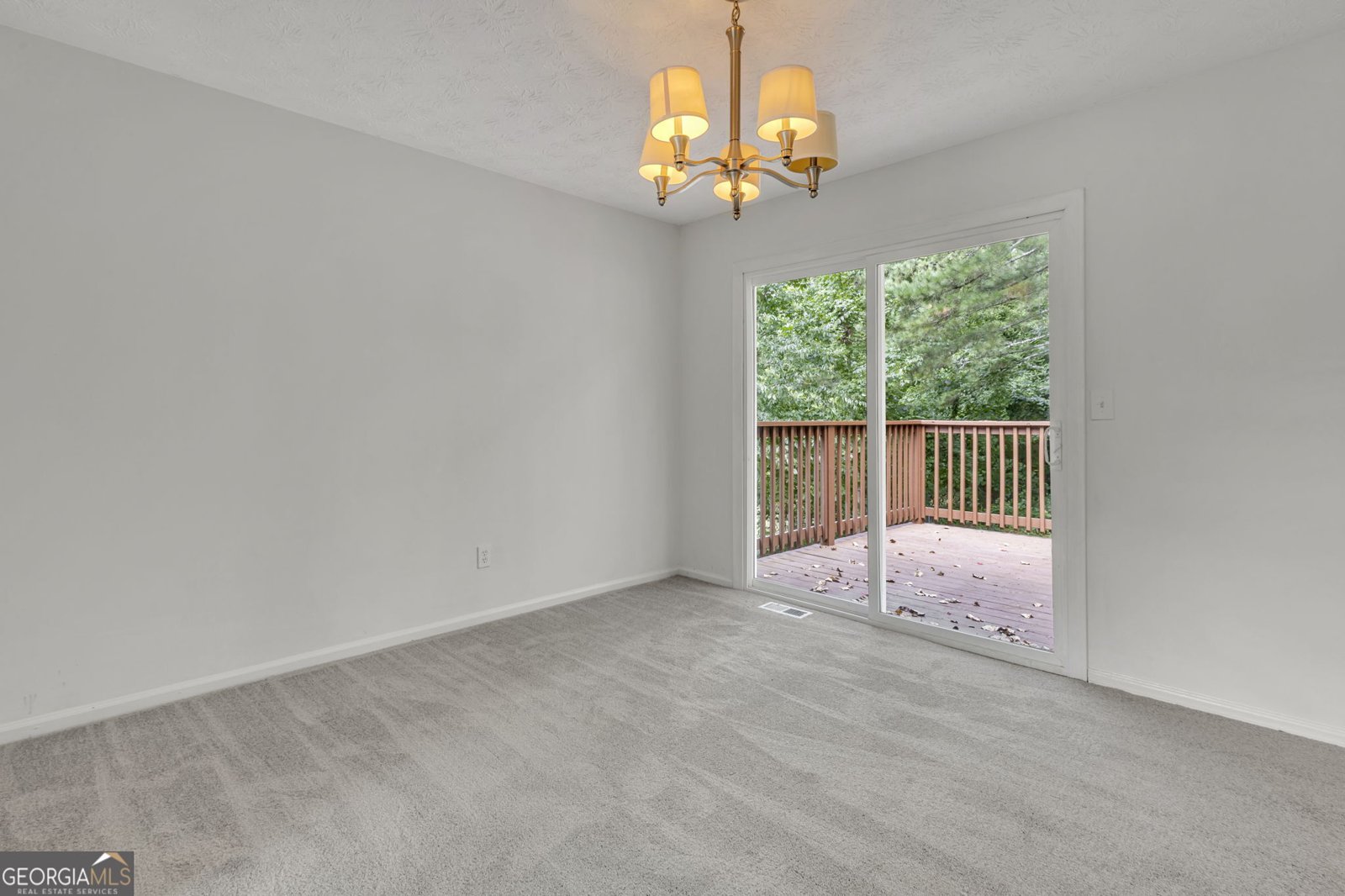 880 Westgard Court Douglasville - 25