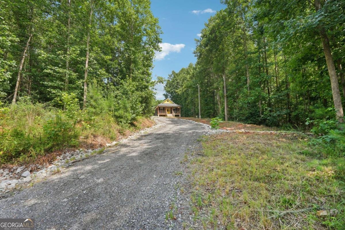 1312 Highway 198 Baldwin - 45