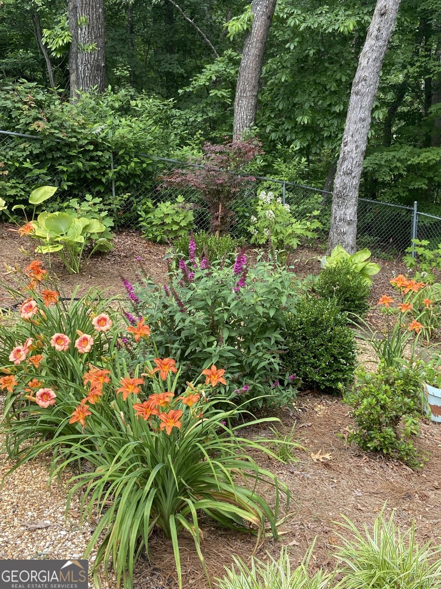 301 McCartan Trail Clarkesville - 25