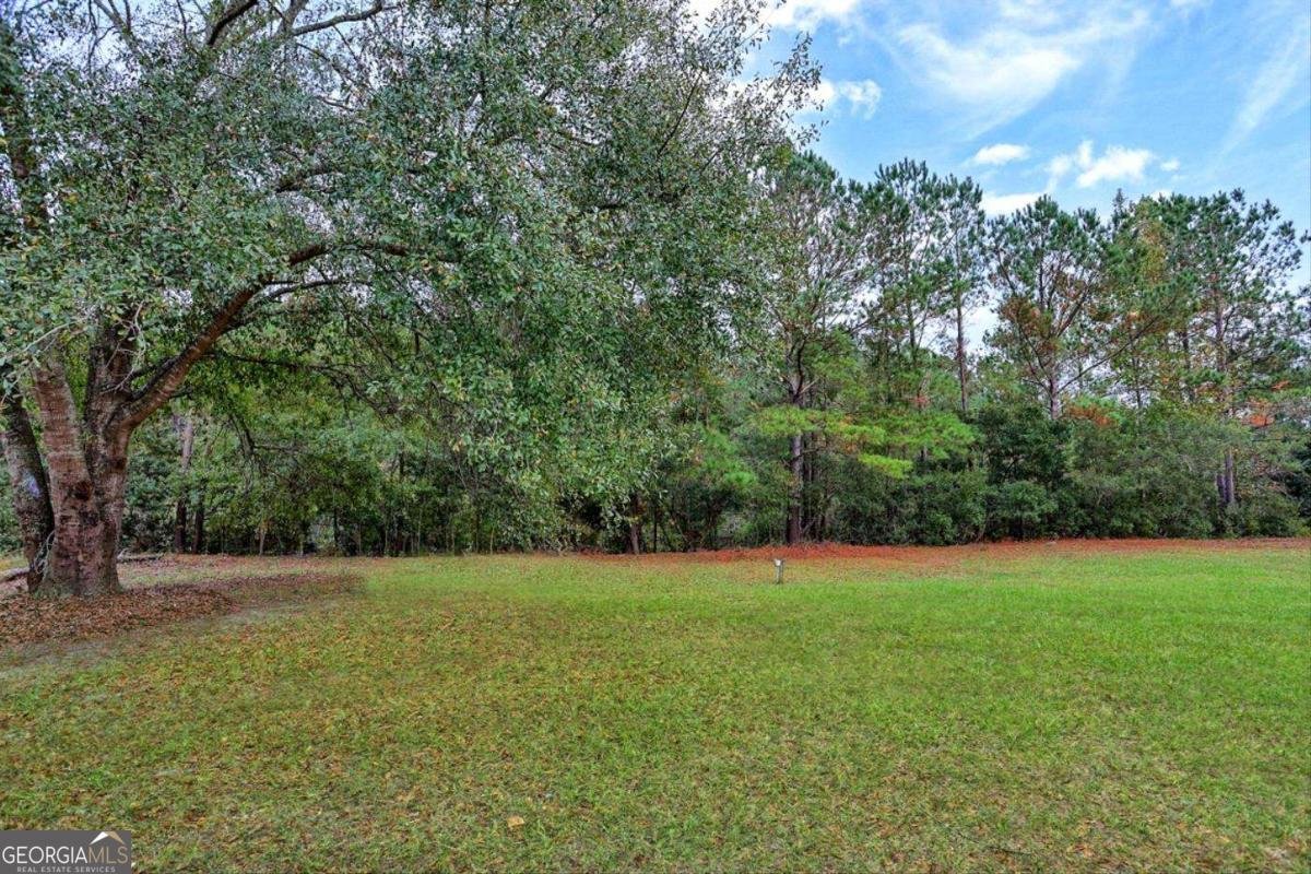 302 Mockingbird Drive Springfield - 12