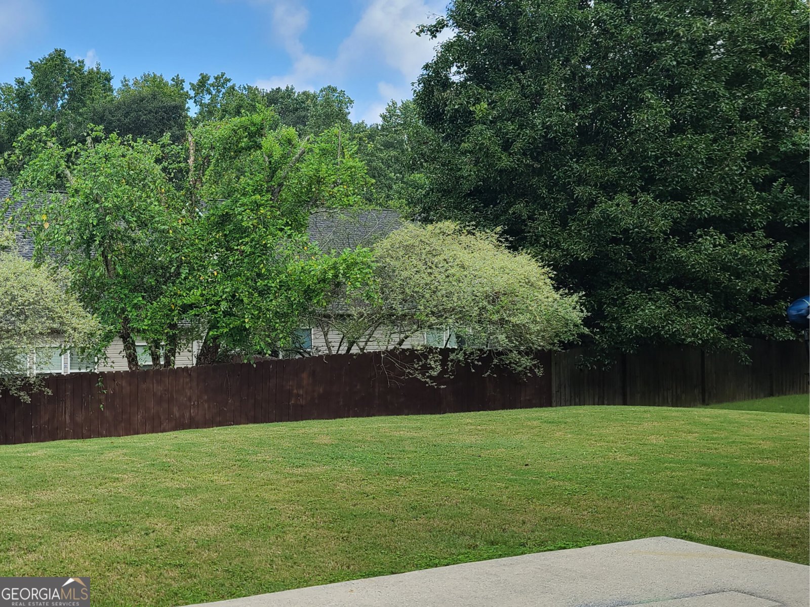 2540 Woodford Lane Buford - 33