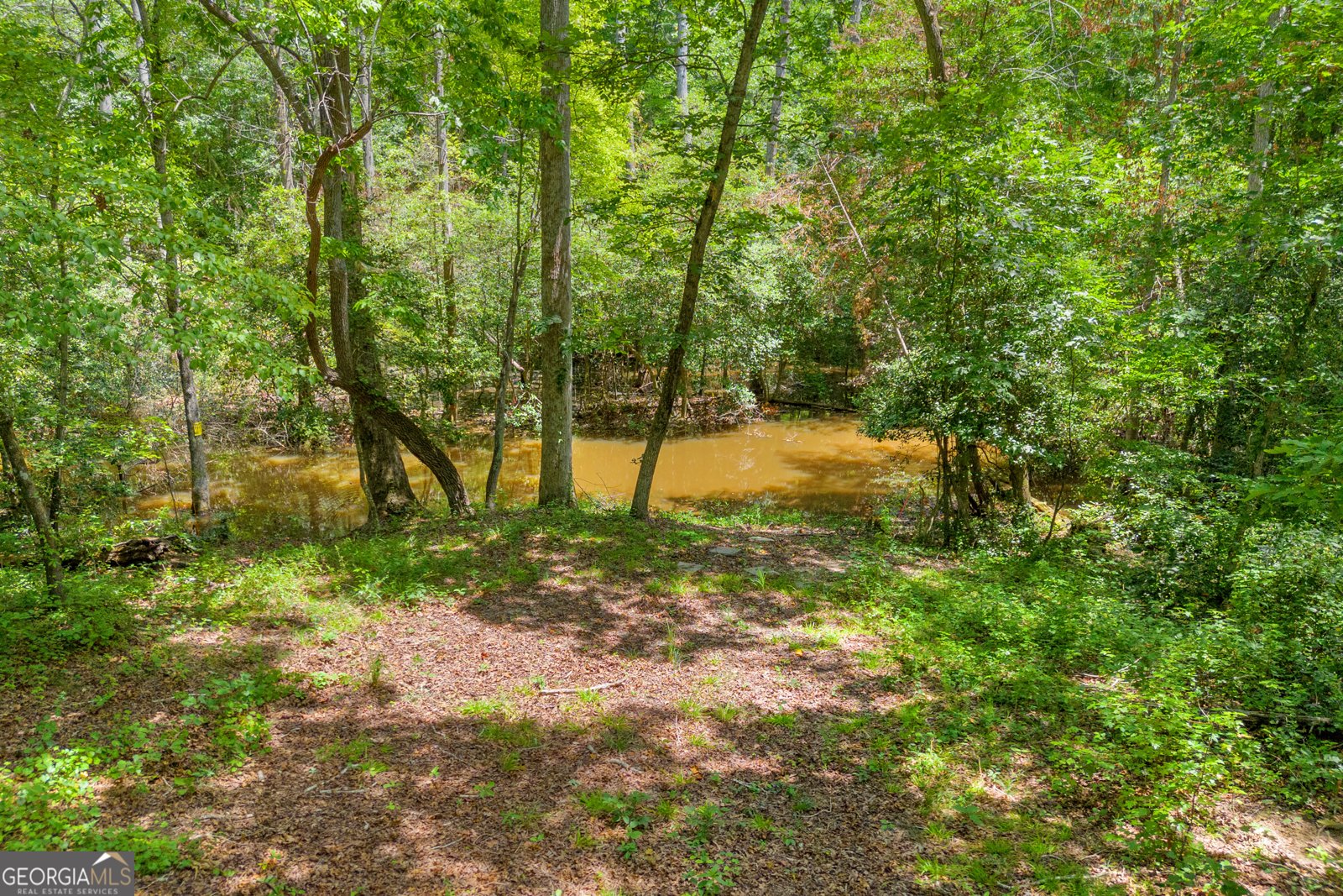 191 Point Circle Hartwell - 34