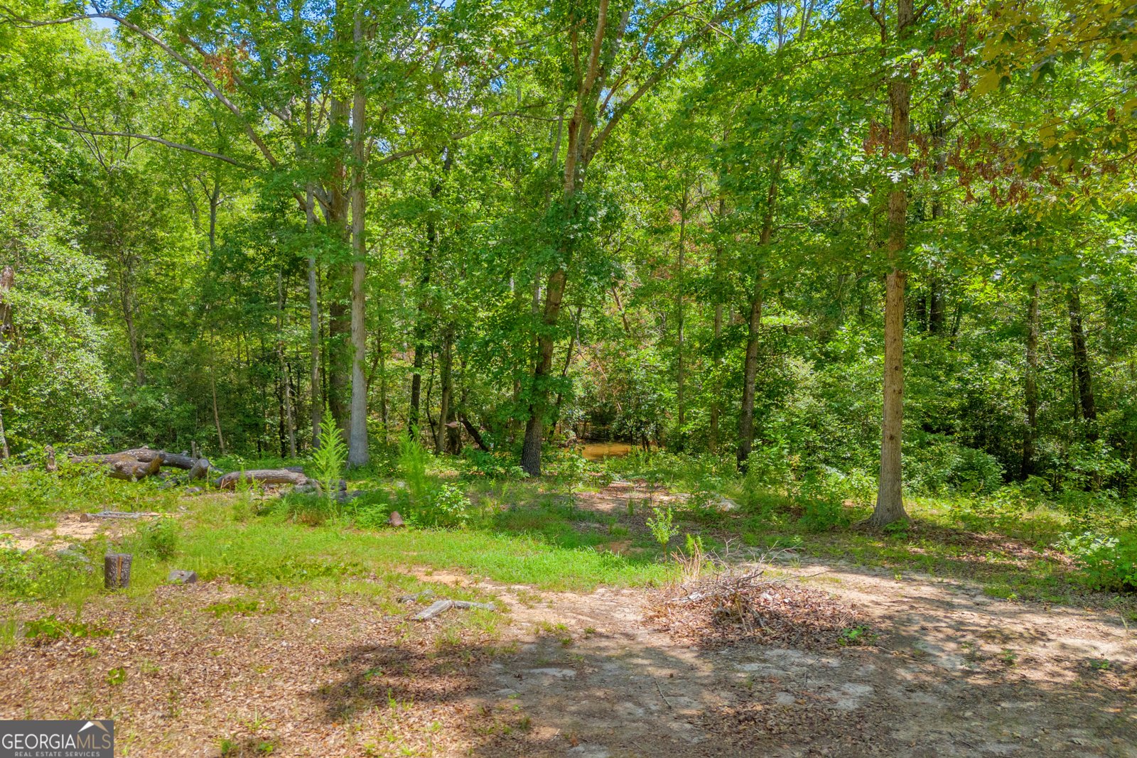 191 Point Circle Hartwell - 36