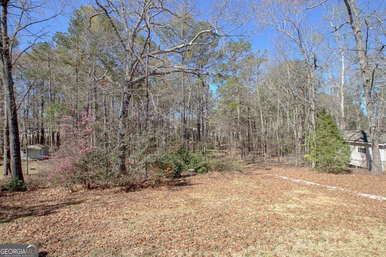 36 Cumberland Trail Senoia - 38