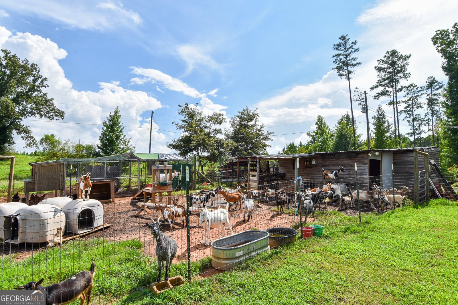 258 Mann Road Barnesville - 42
