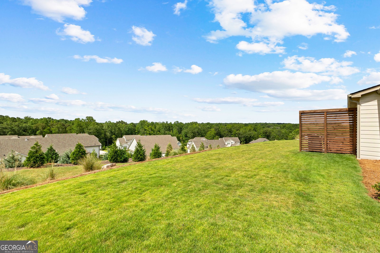 35 Crest Haven Court Senoia - 44