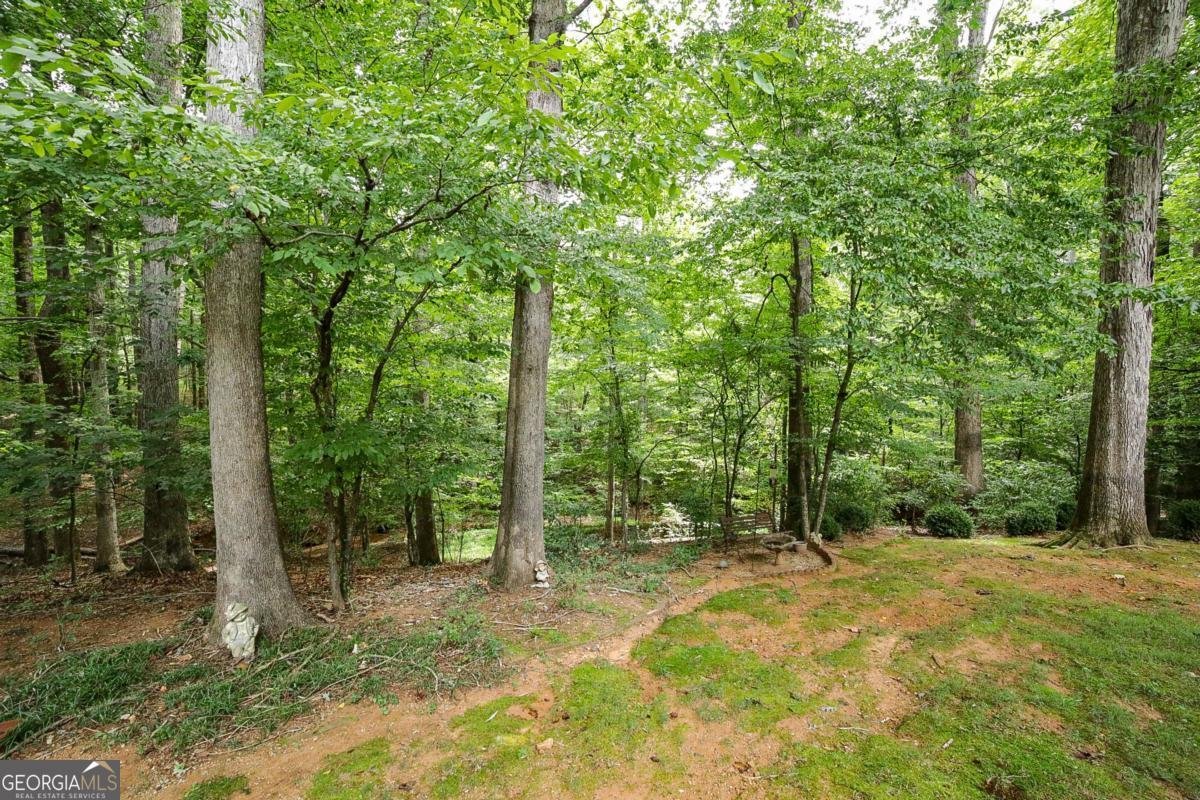 1361 Bouldercrest Circle Watkinsville - 13