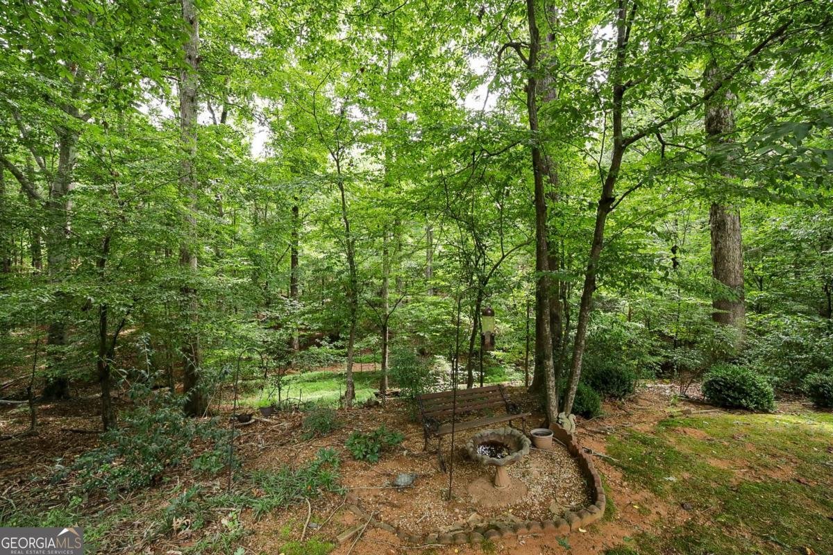 1361 Bouldercrest Circle Watkinsville - 14
