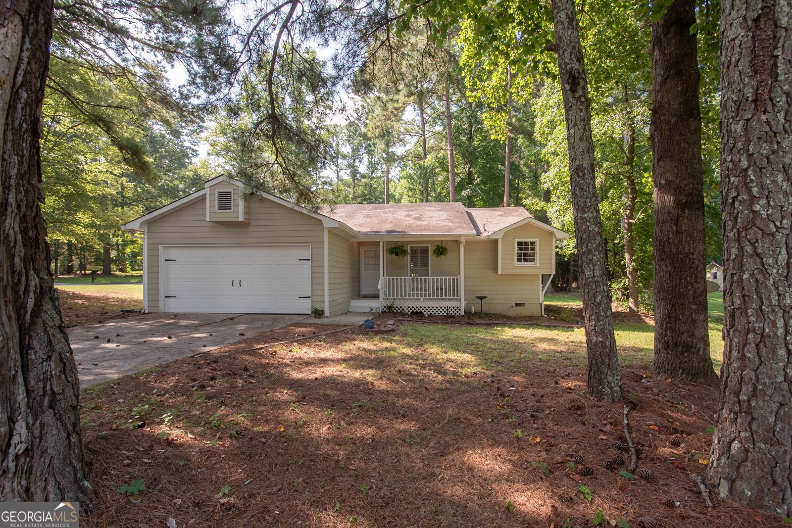101 Bush Clover Peachtree City - 2
