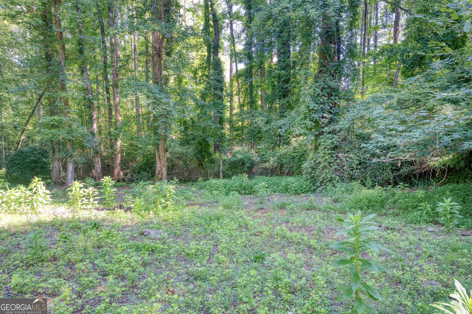 1130 Orchard Way Roswell - 36