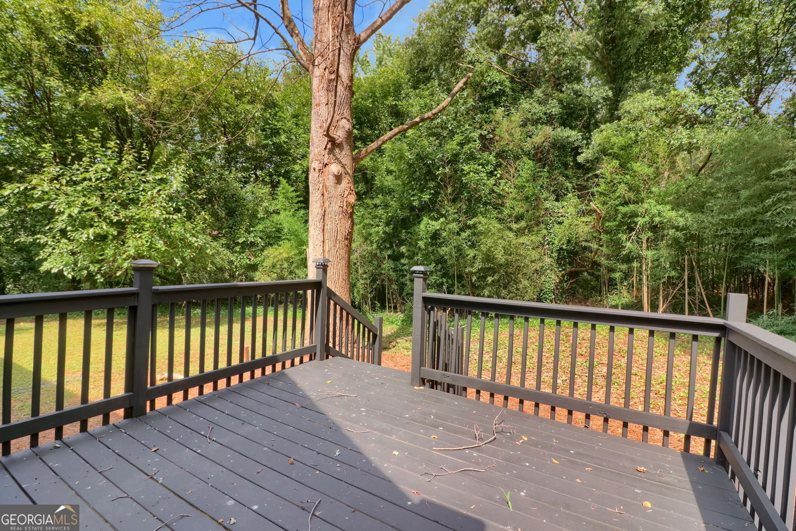 3764 Summit View Lane Snellville - 24
