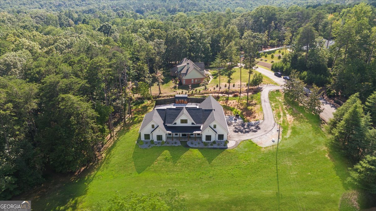 37 Pigeon Creek Drive Dawsonville - 81