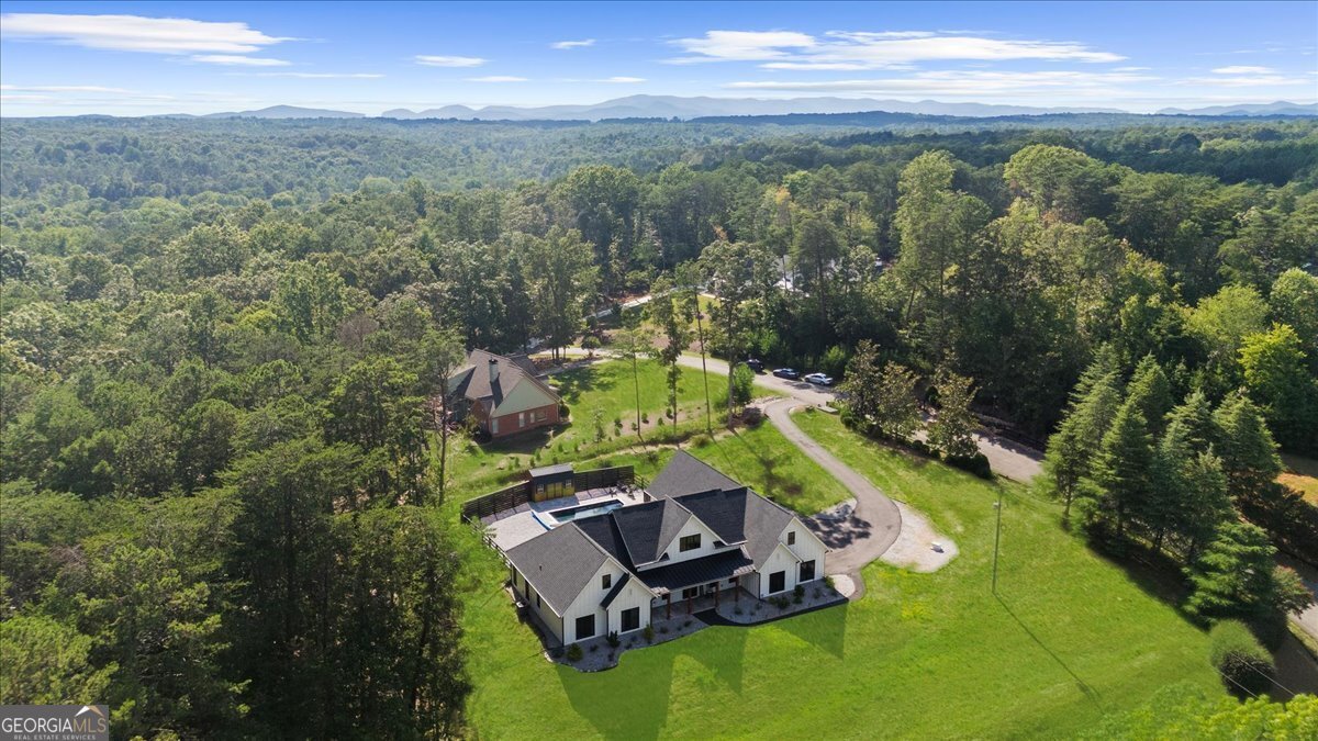 37 Pigeon Creek Drive Dawsonville - 87