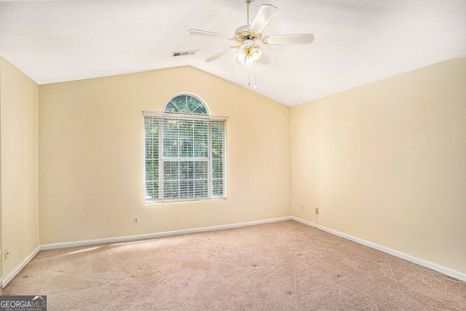 7324 Drake Avenue Lithonia - 9