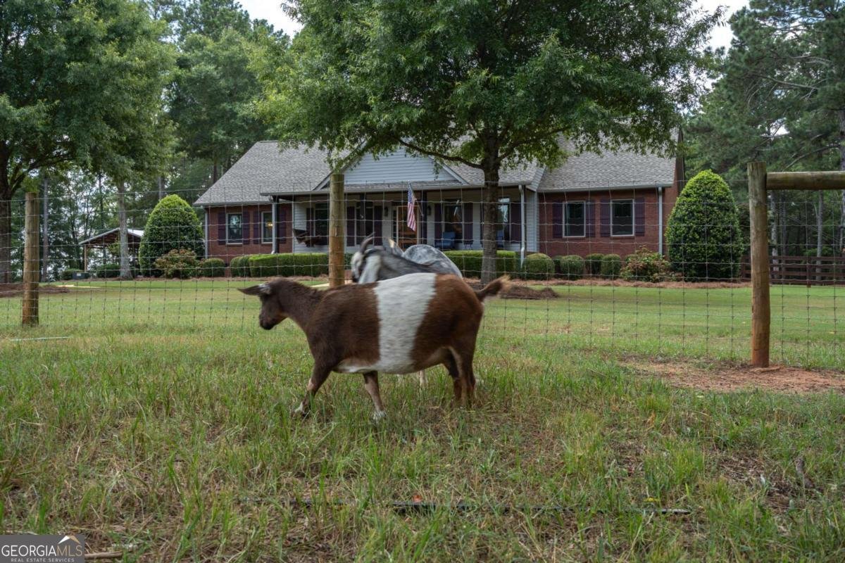 1971 Macon Highway Watkinsville - 35