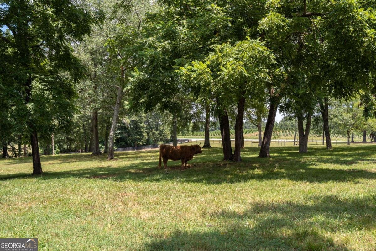 1971 Macon Highway Watkinsville - 36