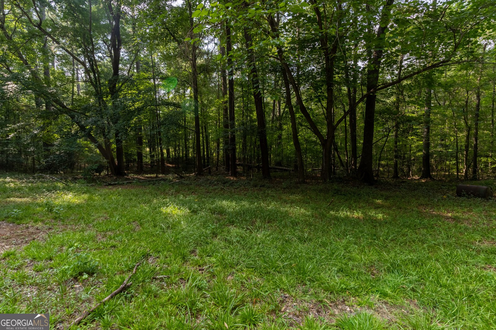 60 Laurie Lane Covington - 35