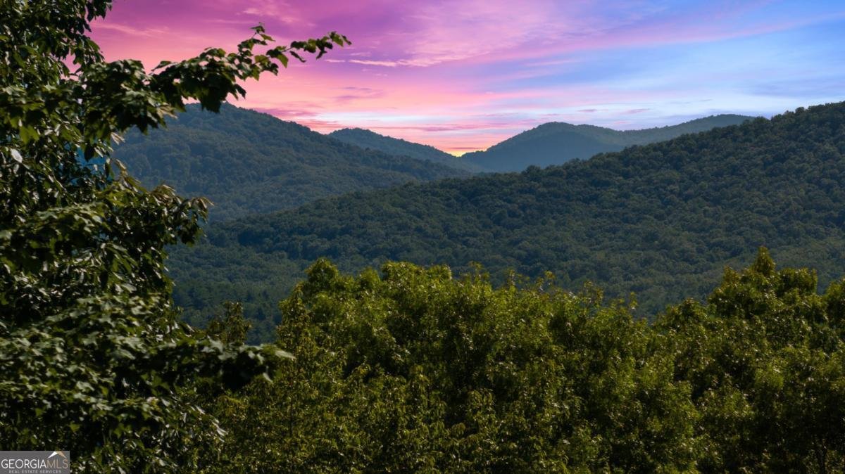 134 Cohutta Overlook Trail Blue Ridge - 1
